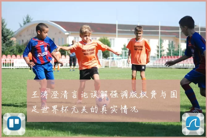王涛澄清言论误解强调版权费与国足世界杯无关的真实情况